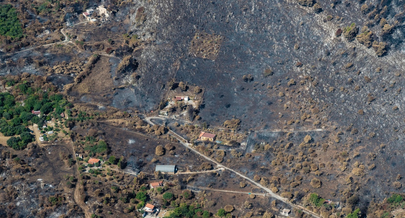 Lagalla: “Piromani come assassini mafiosi”