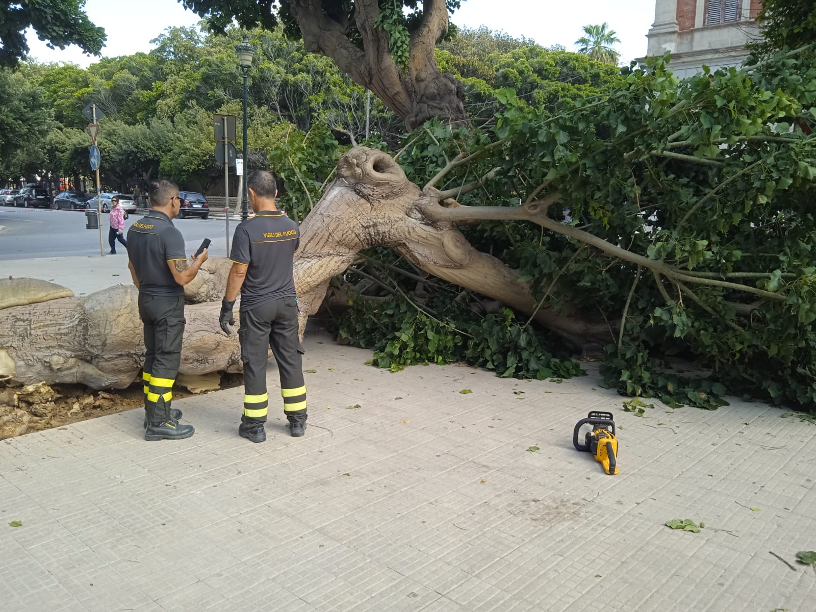 Verde pubblico in città, è ora di fare pulizia