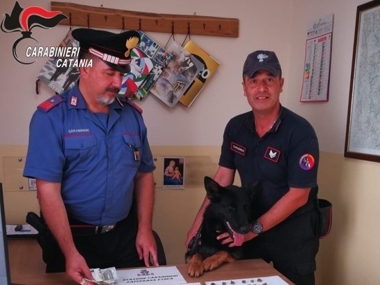 Zafferana Etnea, arrestati fratelli pusher grazie al fiuto del cane “Riley”