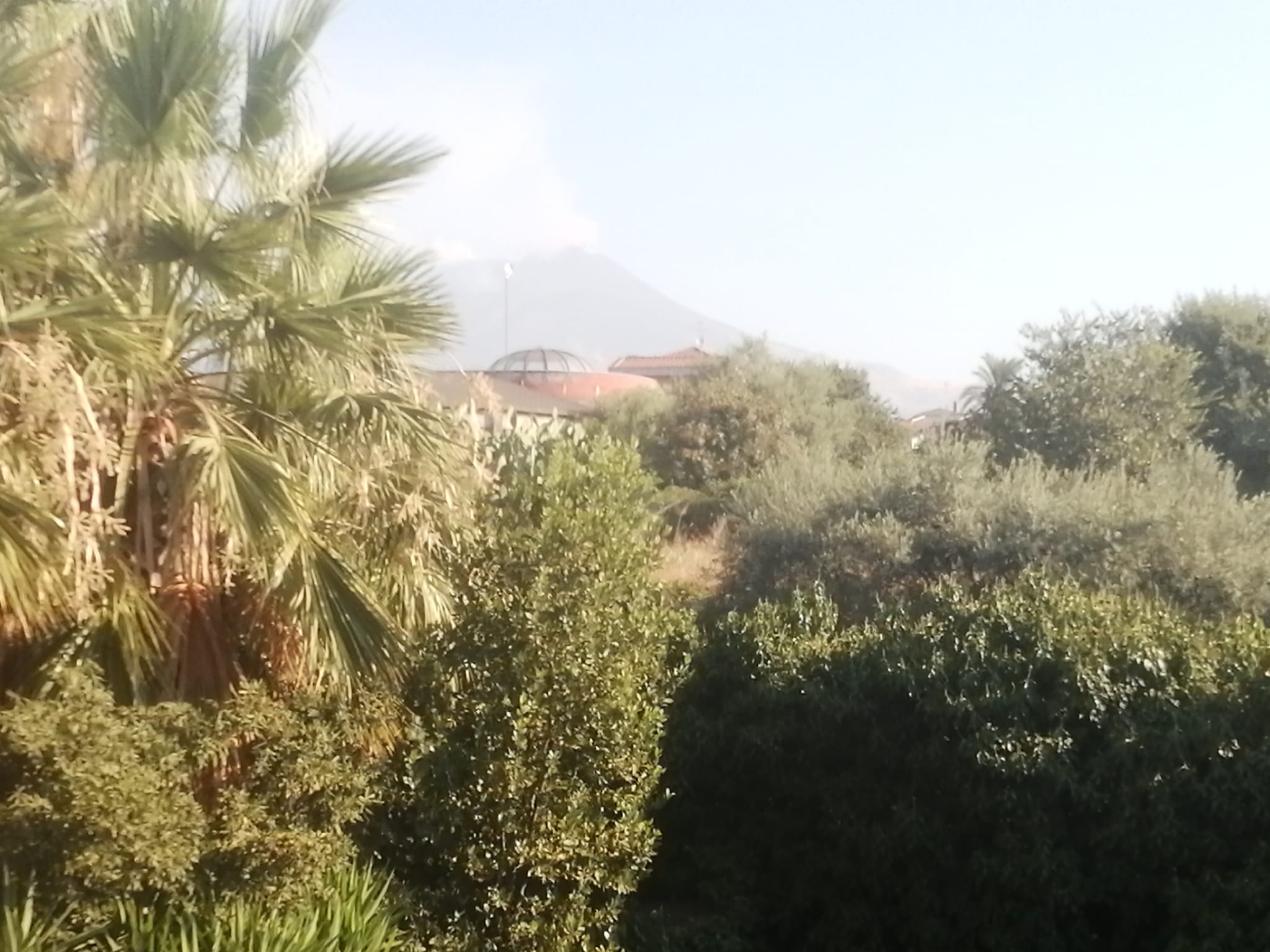 Galleria foto 'Etna in eruzione, il Catanese “invaso” dalla terra – FOTO' - foto 6