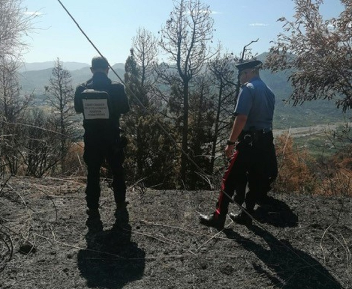 Devastante incendio boschivo a Femminamorta, case in pericolo: scattano le indagini