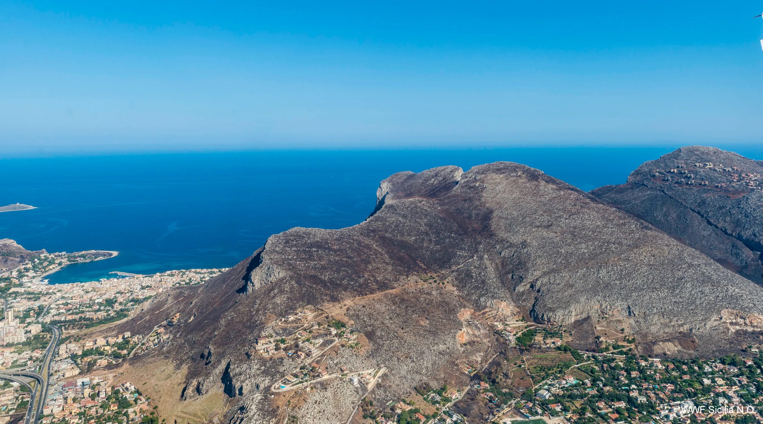 Le ferite della città di Palermo dopo i gravi incendi, il video realizzato dal Wwf Sicilia N.O.