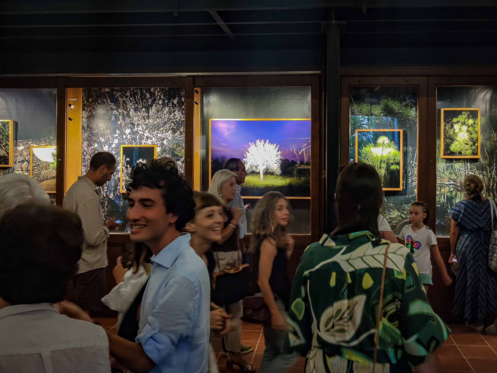 All’Orto Botanico di Palermo i giochi di luce delle piante siciliane