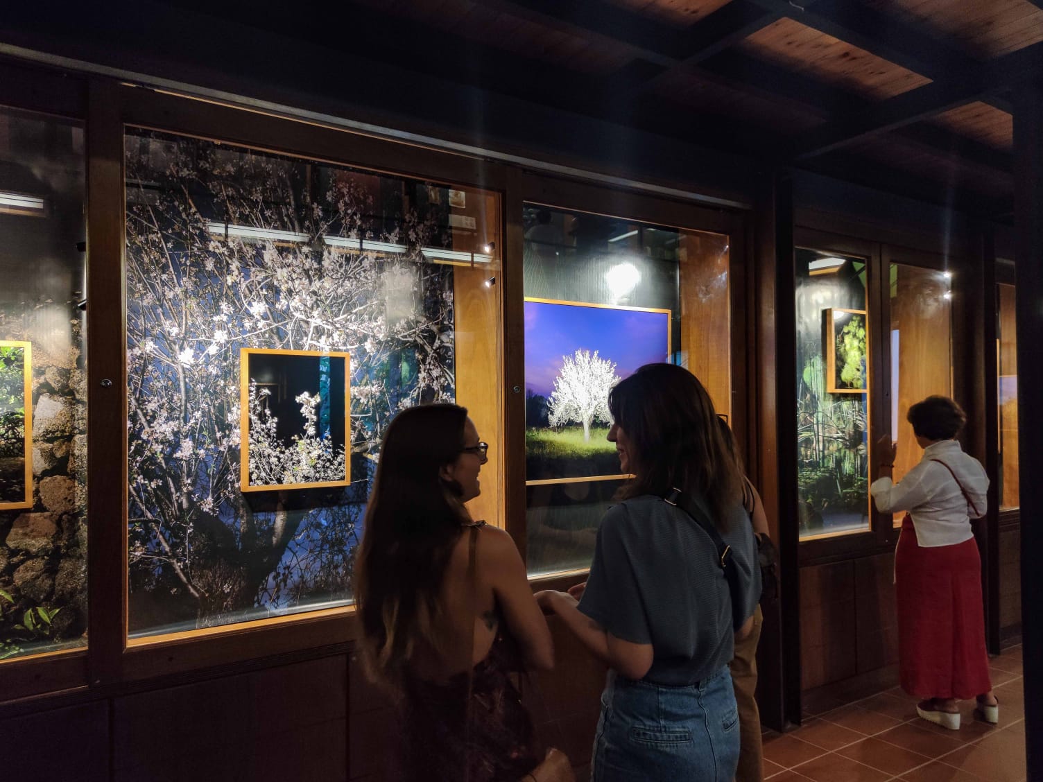 All’Orto Botanico di Palermo i giochi di luce delle piante siciliane