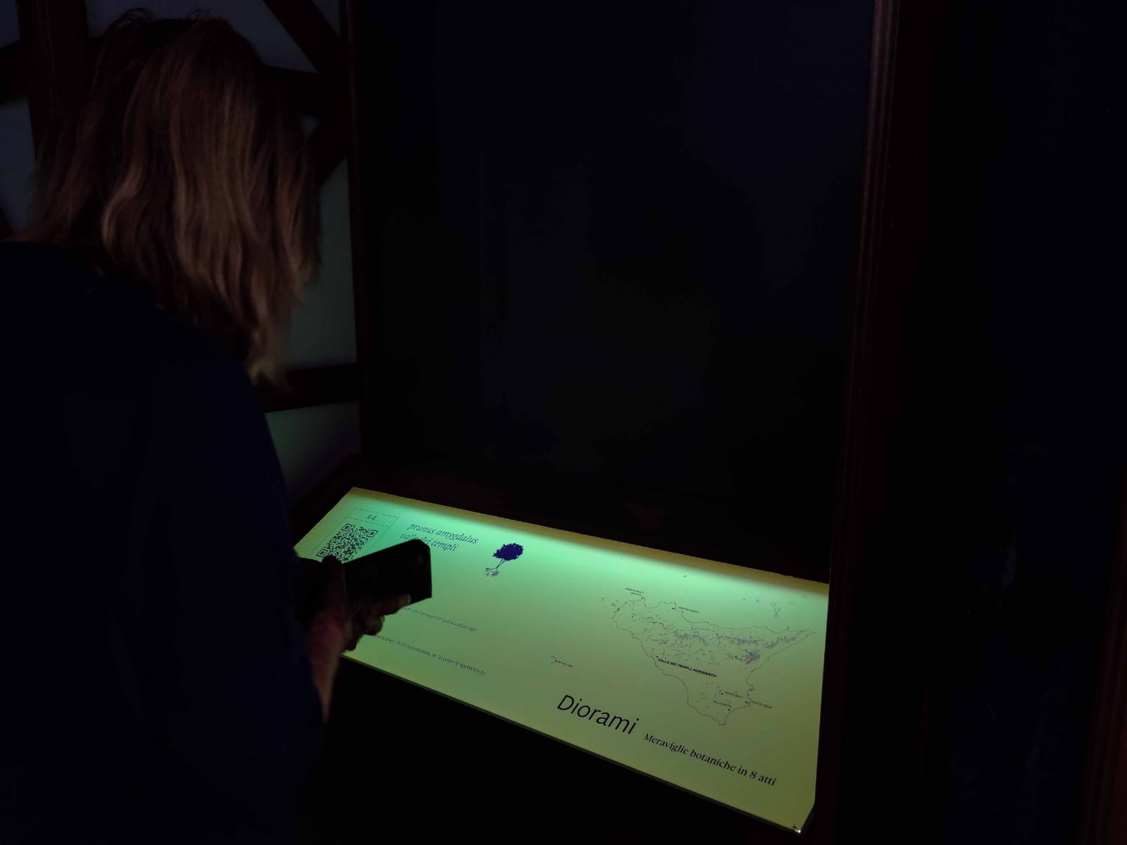 All’Orto Botanico di Palermo i giochi di luce delle piante siciliane