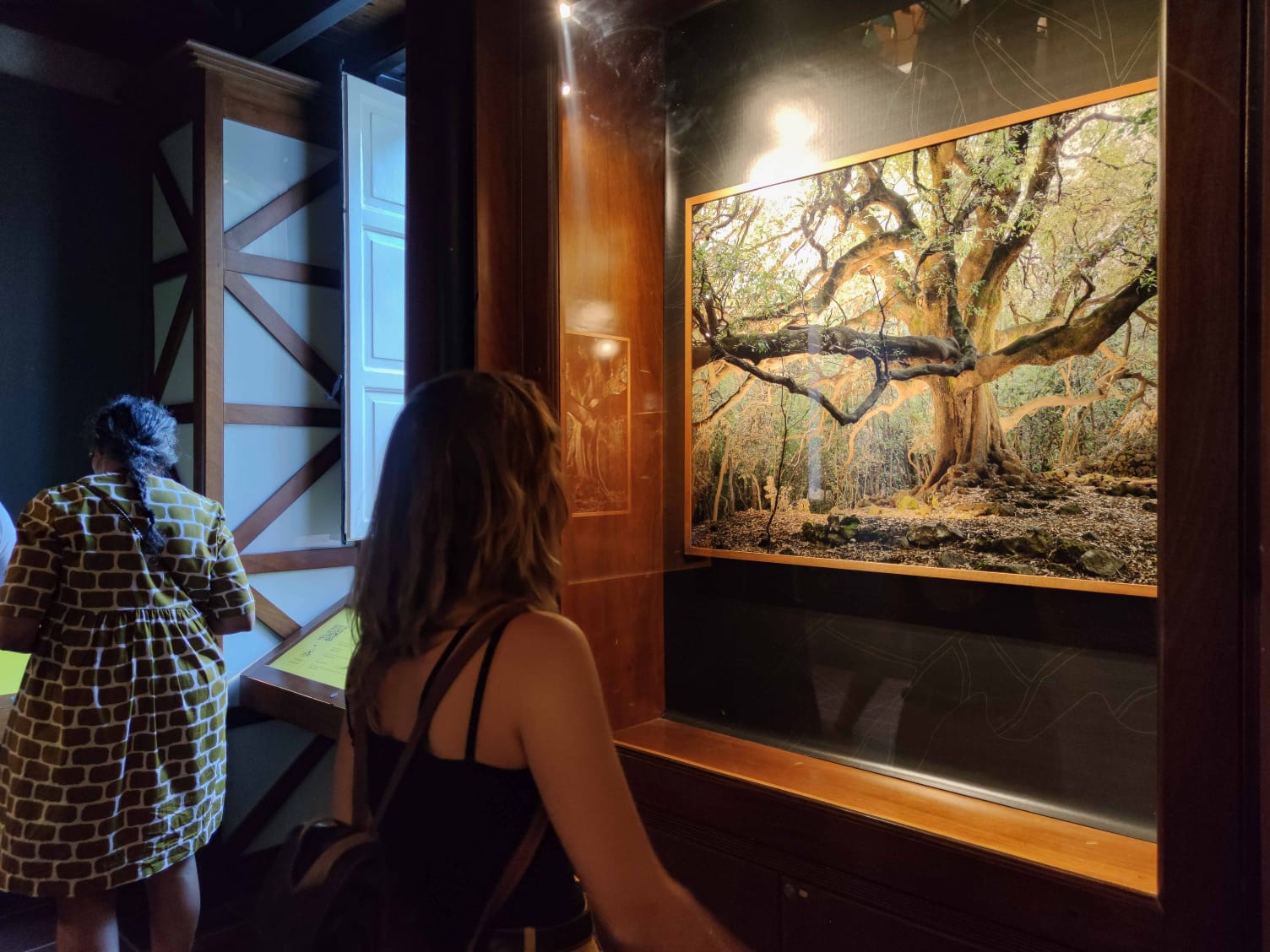 All’Orto Botanico di Palermo i giochi di luce delle piante siciliane