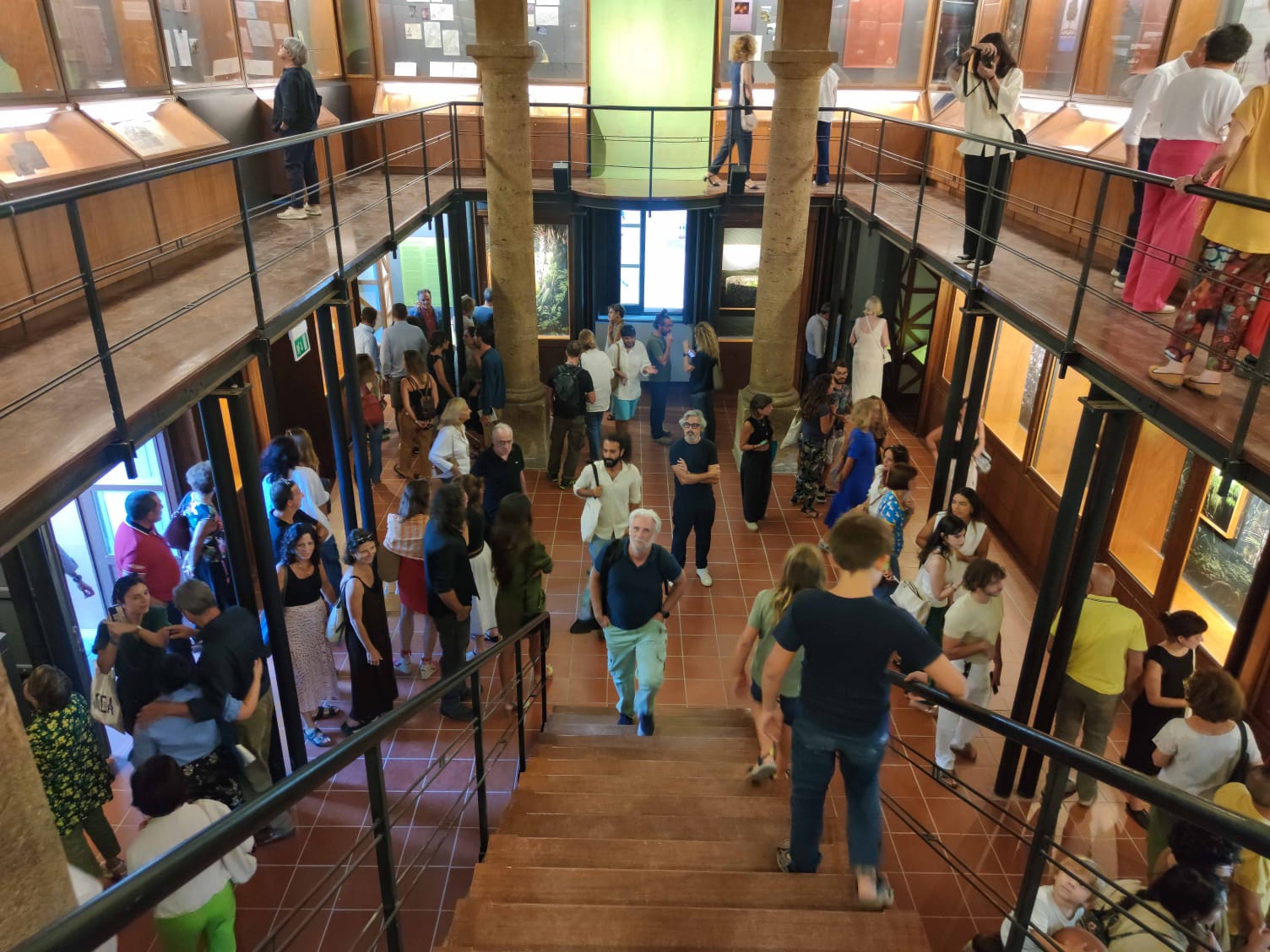 All’Orto Botanico di Palermo i giochi di luce delle piante siciliane