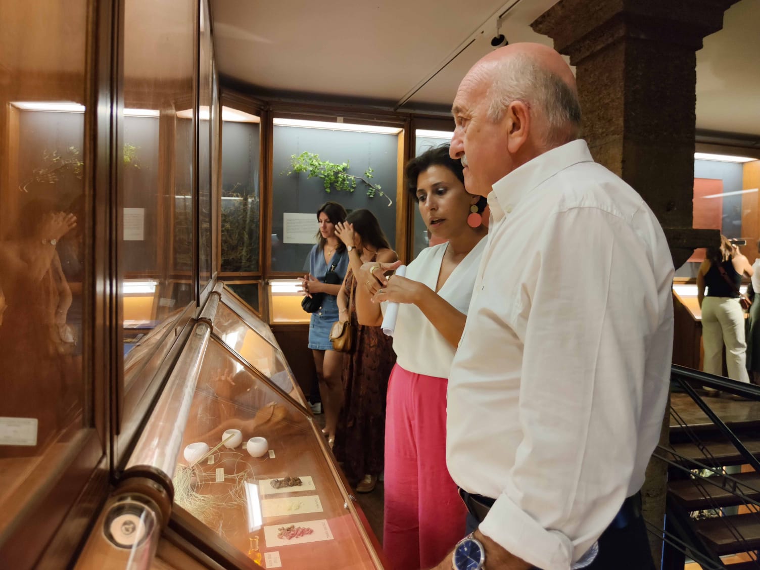 All’Orto Botanico di Palermo i giochi di luce delle piante siciliane