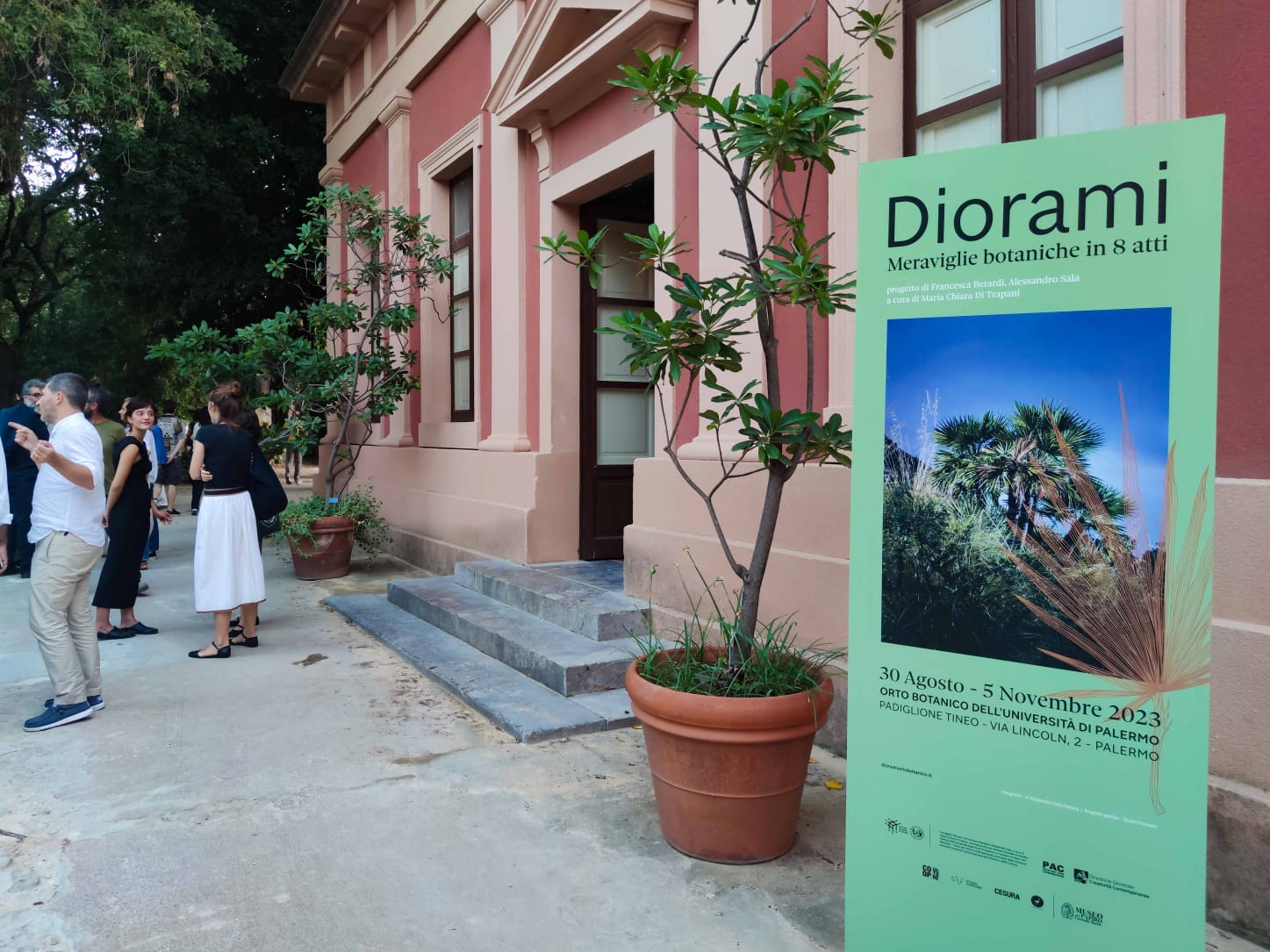 All’Orto Botanico di Palermo i giochi di luce delle piante siciliane