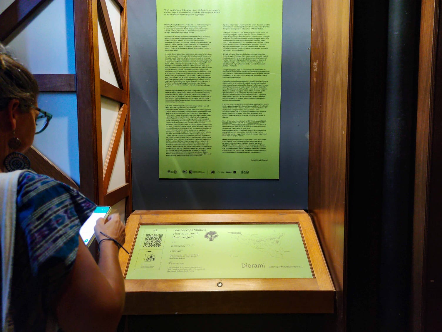 All’Orto Botanico di Palermo i giochi di luce delle piante siciliane