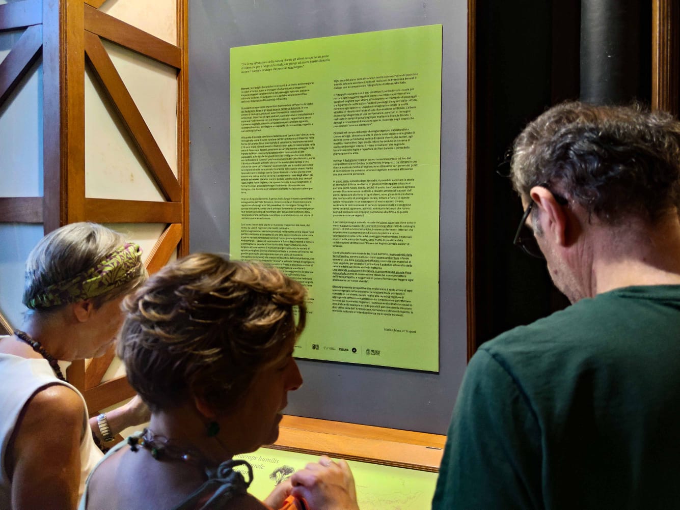 All’Orto Botanico di Palermo i giochi di luce delle piante siciliane