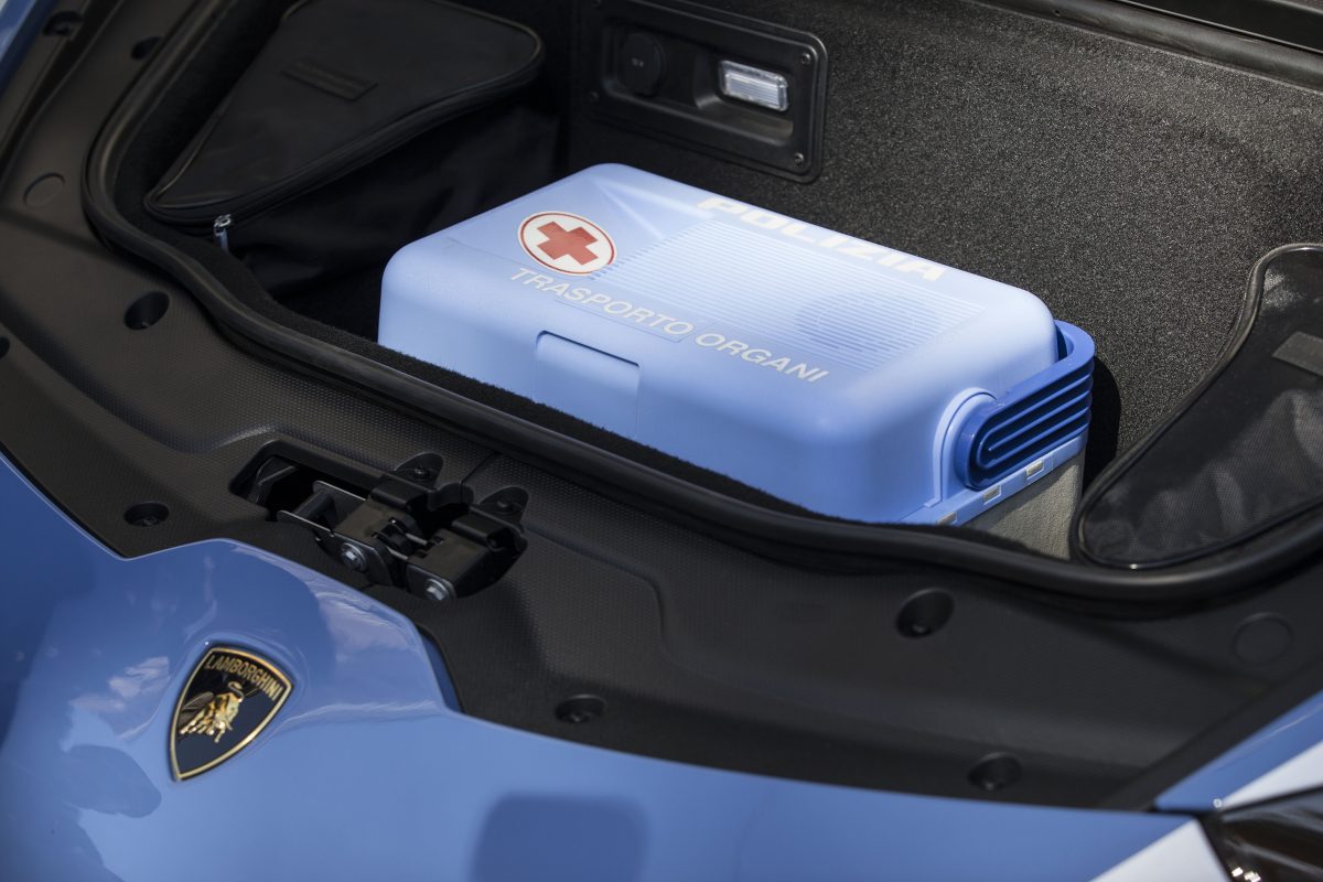 Le donazioni degli organi che salvano le vite: record in Sicilia