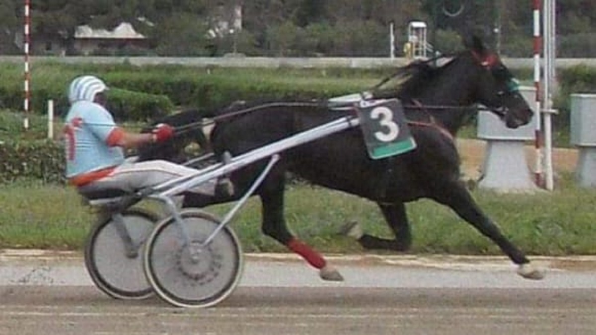 L’ippica siciliana piange la scomparsa di Vincenzo Pampillonia: ecco chi era