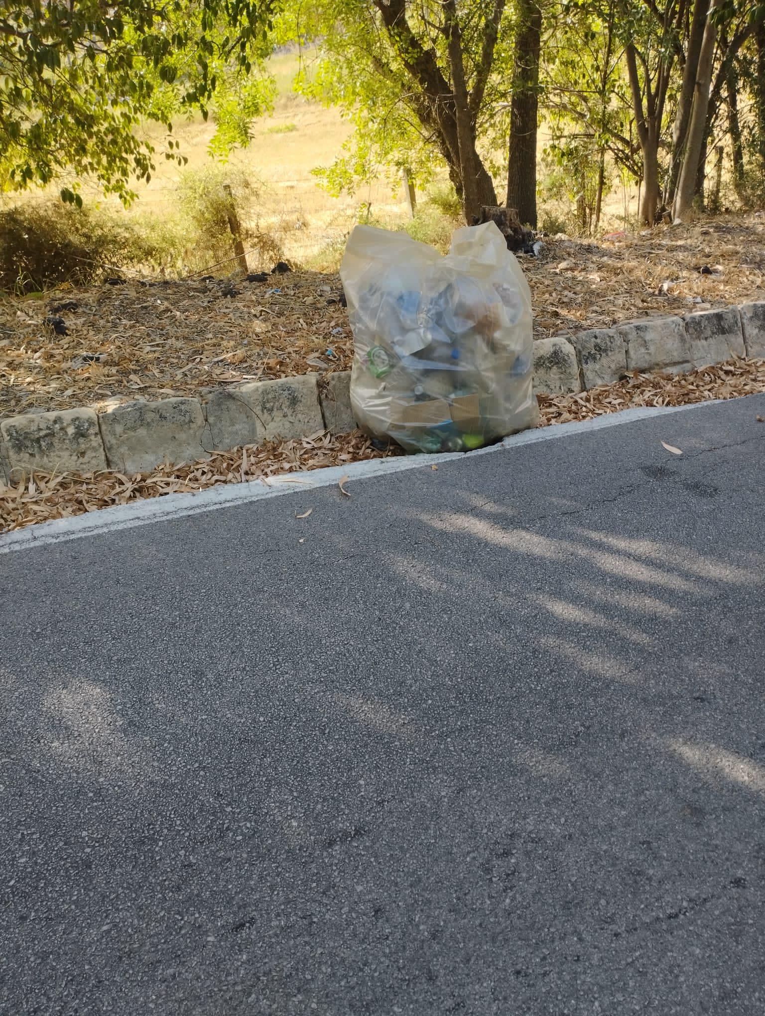 Calascibetta, ripulita dai rifiuti la SS290: l’appello del sindaco