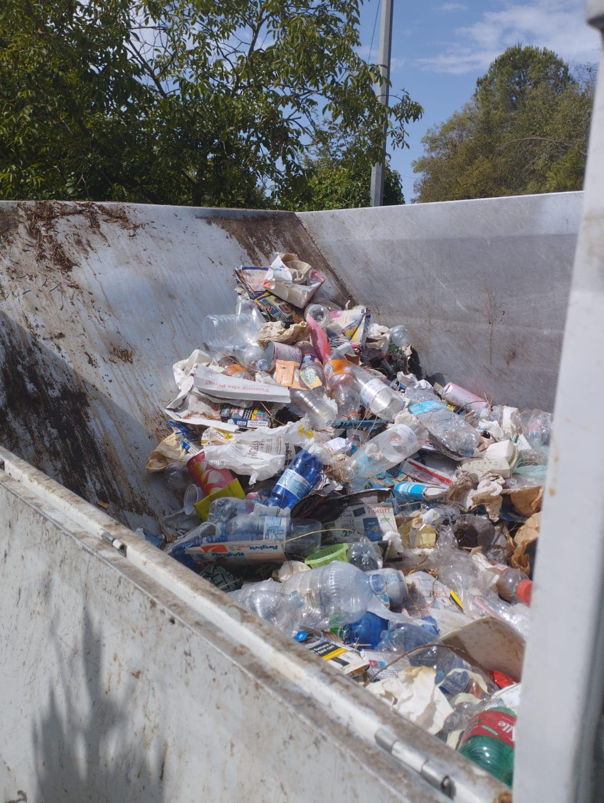 Calascibetta, ripulita dai rifiuti la SS290: l’appello del sindaco