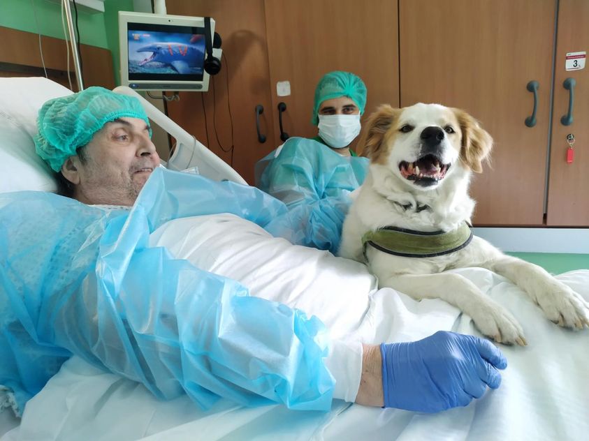 Ricoverato da un anno, chiede di rivedere il suo cane: l’emozionante storia