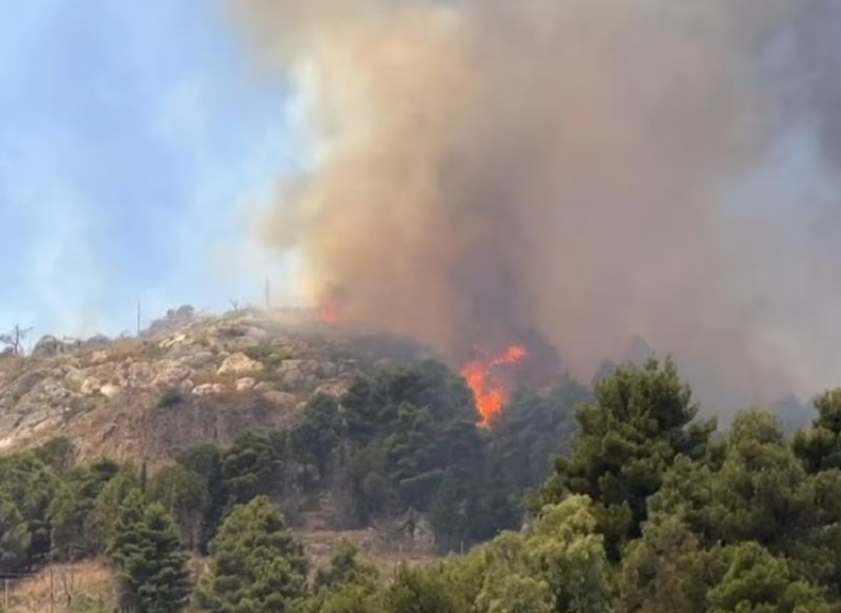 Mentre gli incendi devastano Sicilia e Sardegna il ministro aspetta i canadair dell’Ue