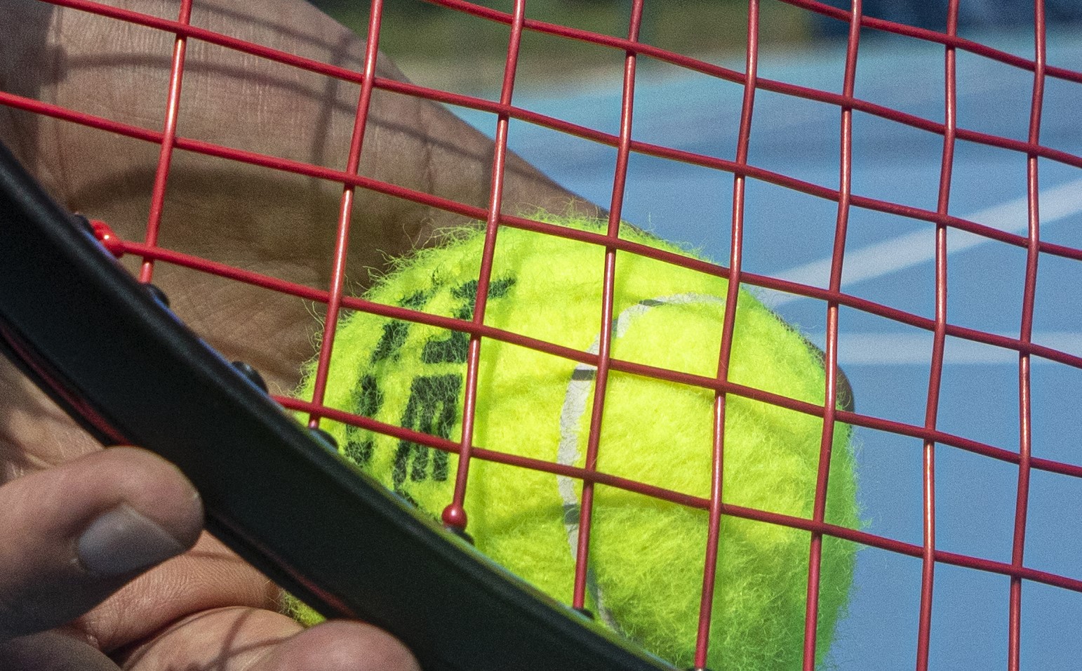 Jannik Sinner in finale a Toronto, Tommy Paul battuto in semifinale