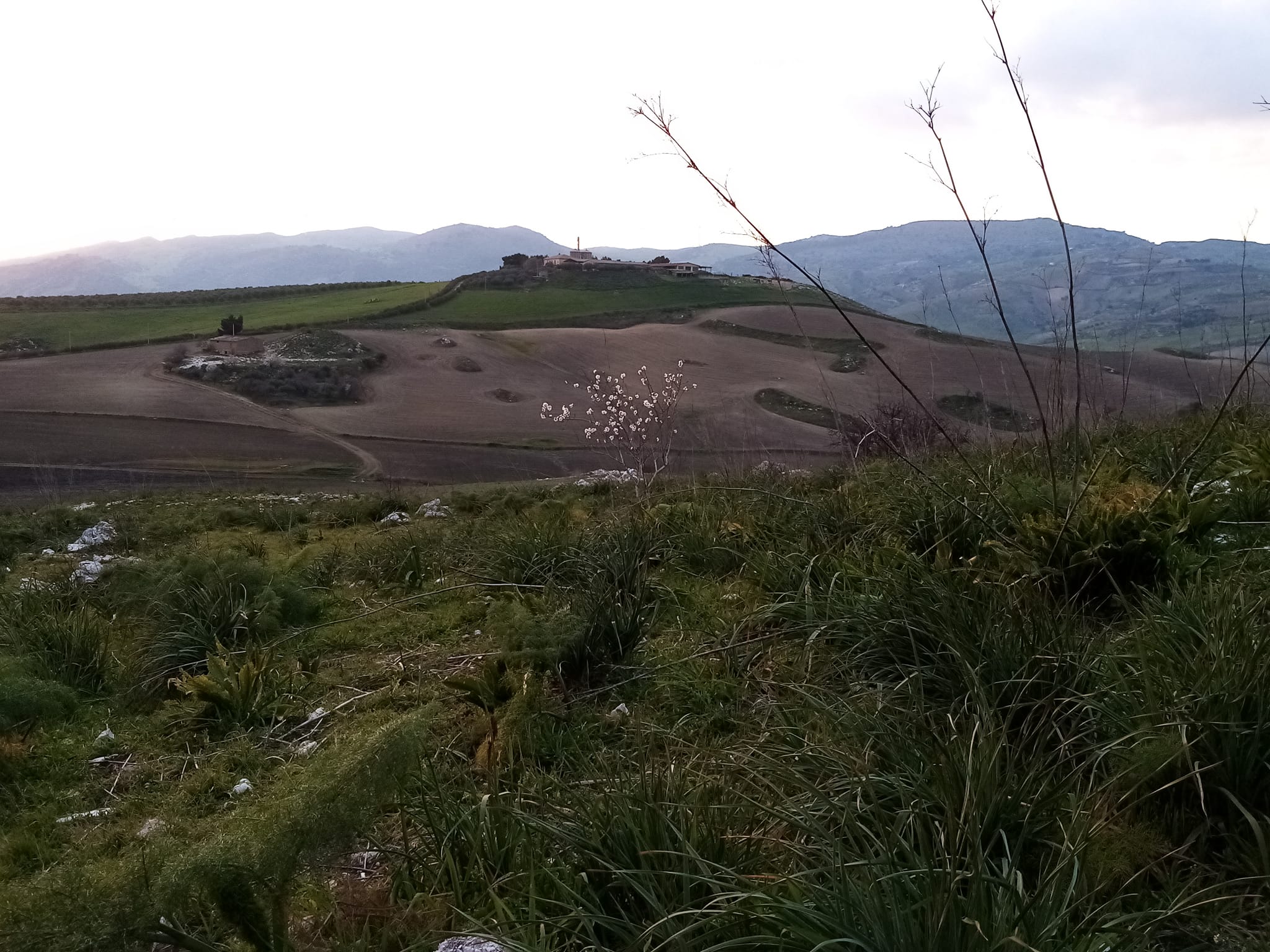 Il giudice Livatino e la lotta in difesa dell’ambiente