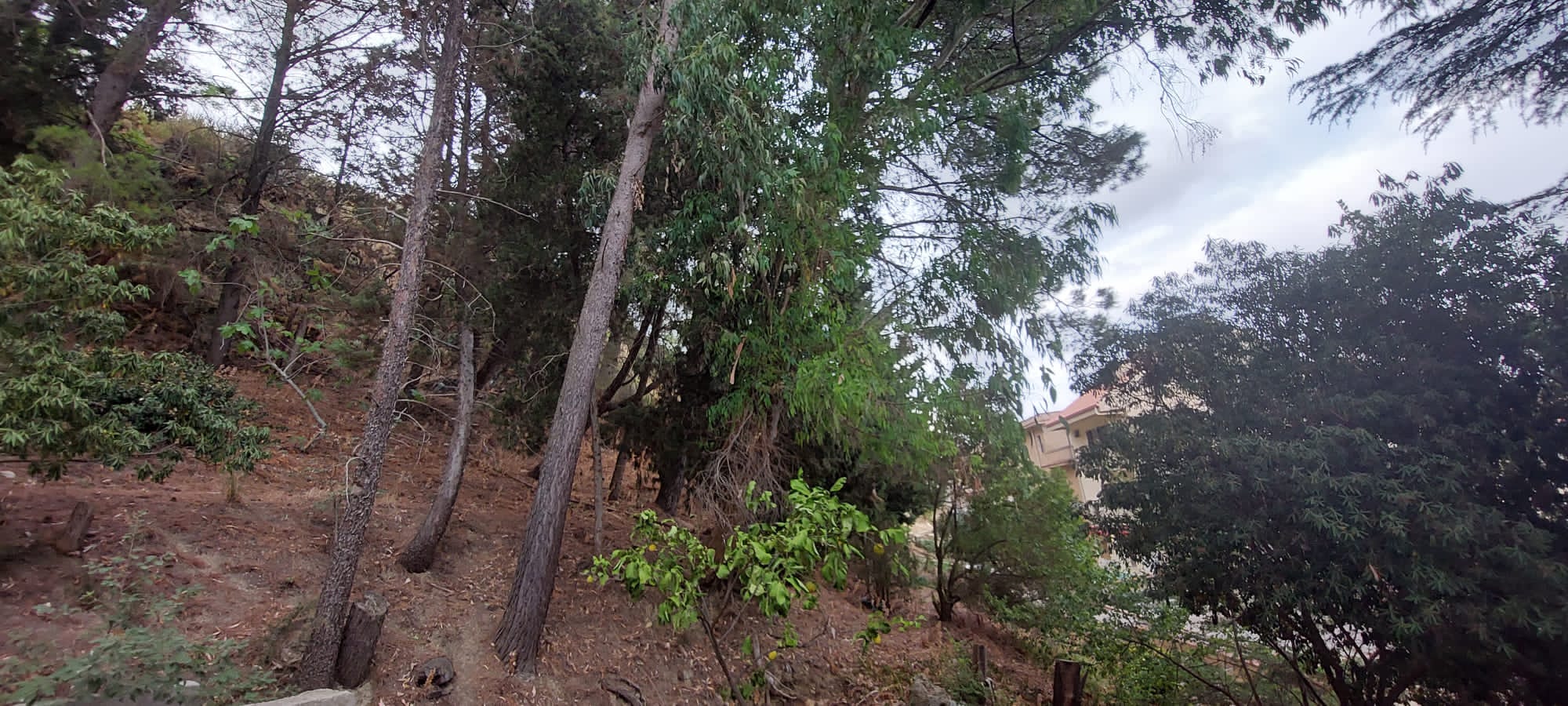 Alluvioni, a Salemi al via i lavori per messa in sicurezza