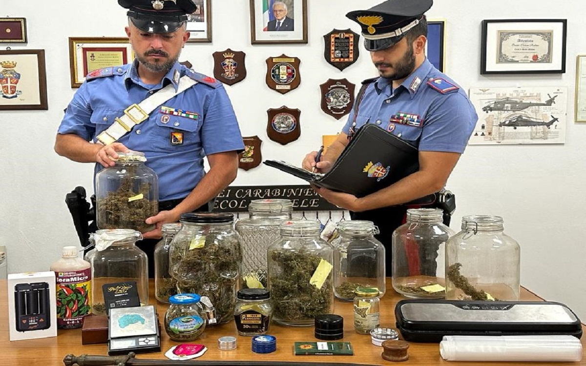La serra di cannabis e l’arma, scoperta “stupefacente” in casa: arrestato 33enne