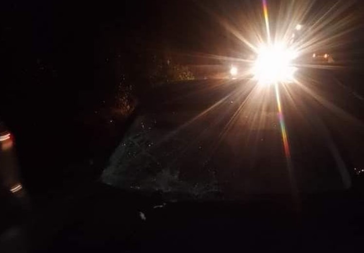 Brutto incidente sulla SP 57, mucca investita nel cuore della notte