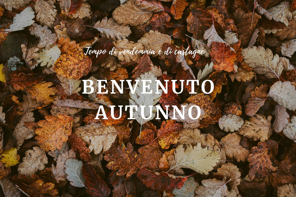 Buon autunno 2023 - Immagini (3)