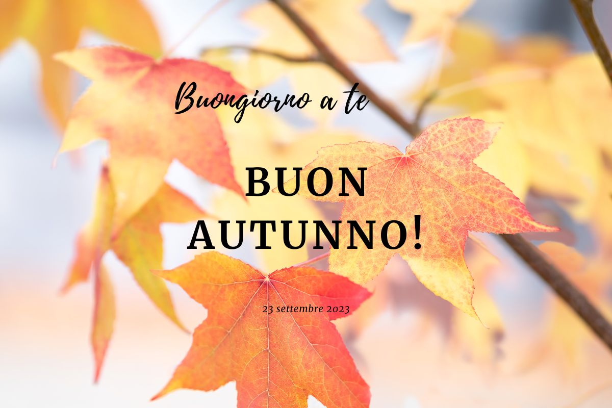 Galleria foto 'Benvenuto autunno 2023, le immagini e le frasi da condividere' - foto 1