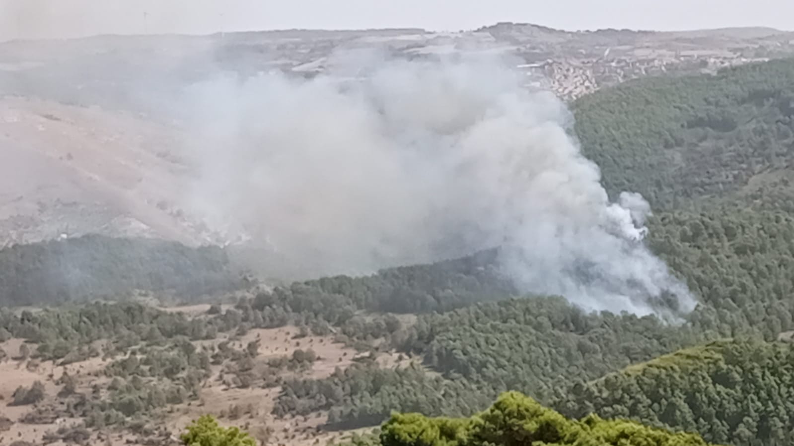 Scoppia incendio nel Ragusano, fiamme alte alimentate dallo scirocco