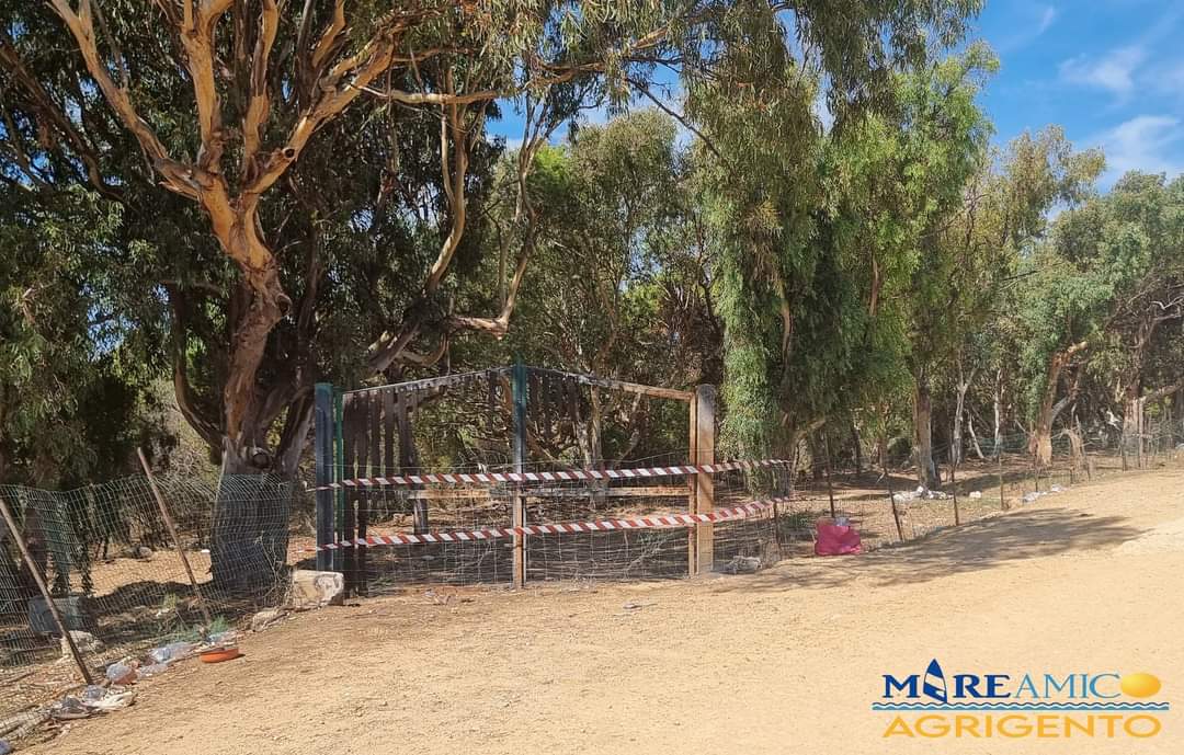 Galleria foto 'Agrigento, Mareamico: “Invece di vigilare sui rifiuti Regione chiude accesso mare Maddaluso”' - foto 2