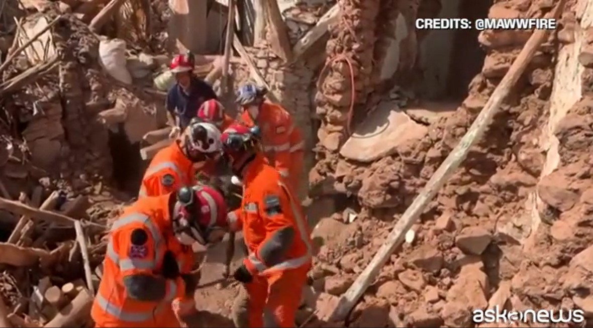 VIDEO | Asino travolto dalle macerie dopo il terremoto in Marocco, salvato