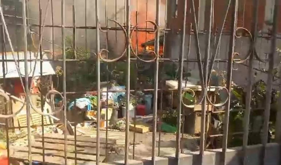 Morti sette cani e un gatto per un incendio in rifugio abusivo in provincia di Palermo