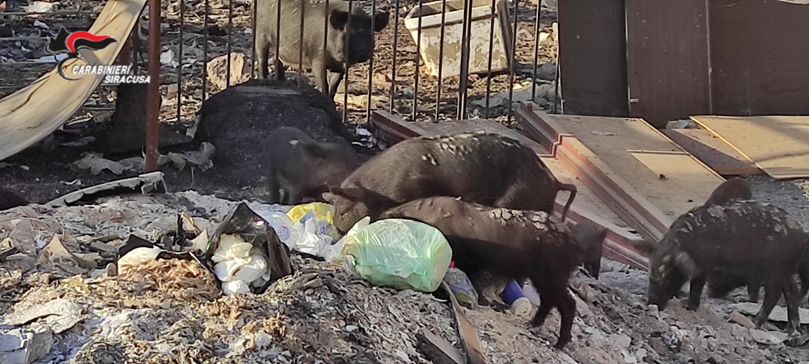 Siracusa, discarica abusiva e combustione illecita di rifiuti: raffica di denunce