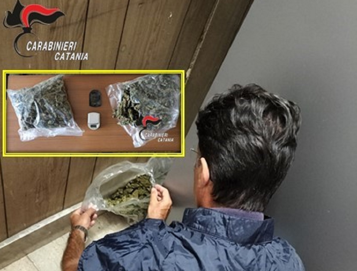 Marijuana ovunque in casa, dal controsoffitto alla camera da letto: arresto nel Catanese