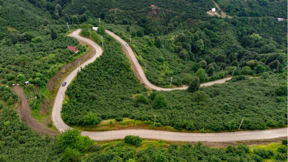 Sempre più consumatori cercano auto sostenibili