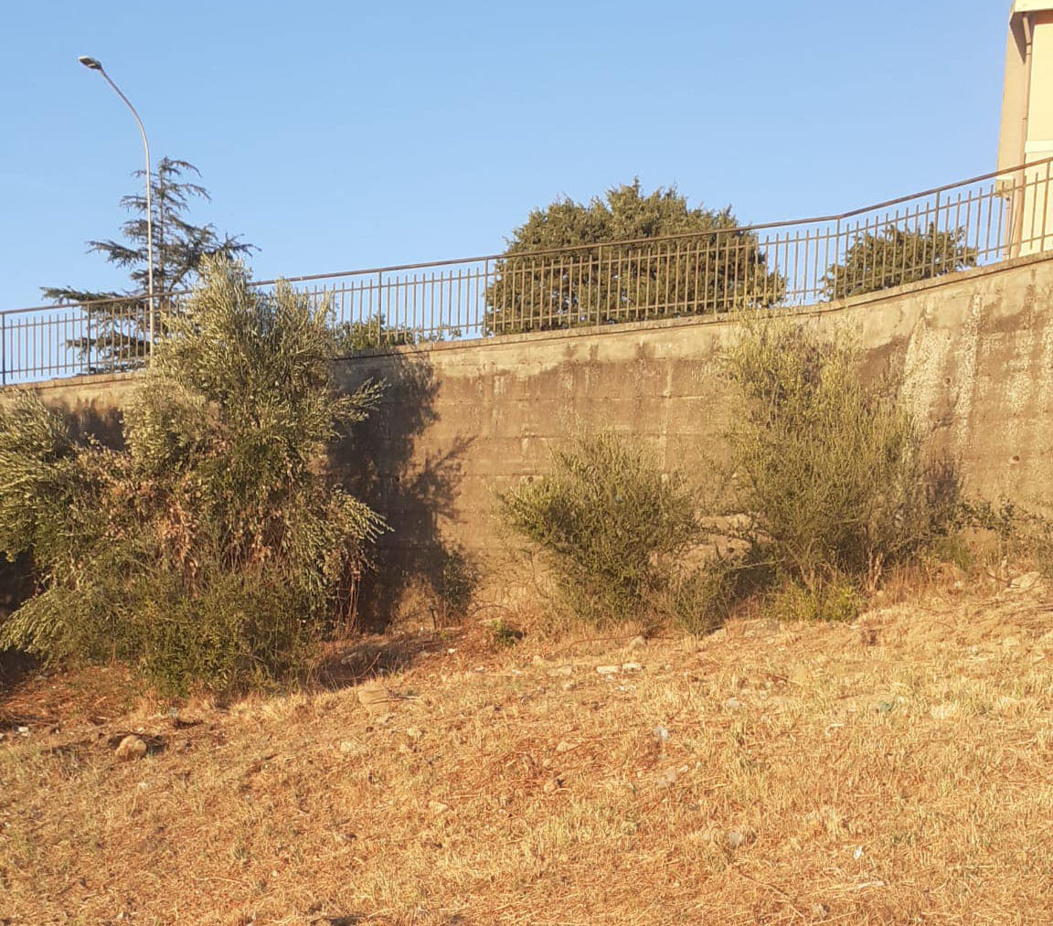 Tutela del decoro urbano e lotta ai regalbutesi incivili