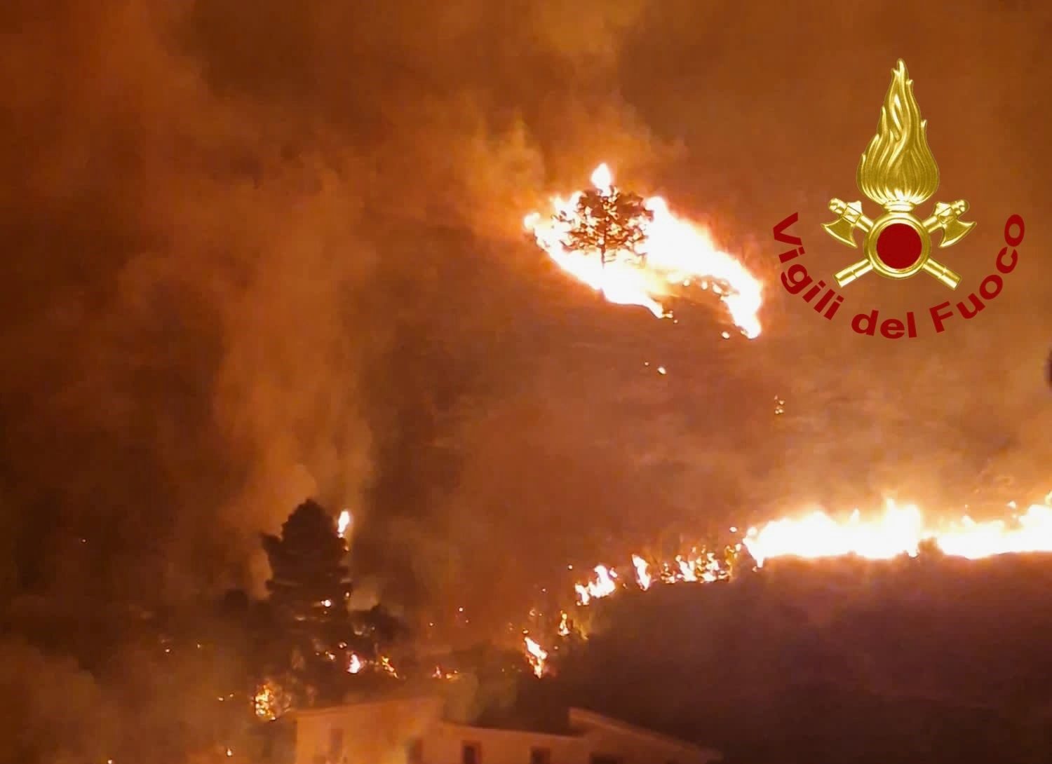 Incendi in Sicilia, “Che fine hanno fatto i nuovi mezzi?”: interrogazione all’Ars Incendi in Sicilia, “Che fine hanno fatto i nuovi mezzi?”: interrogazione all’Ars