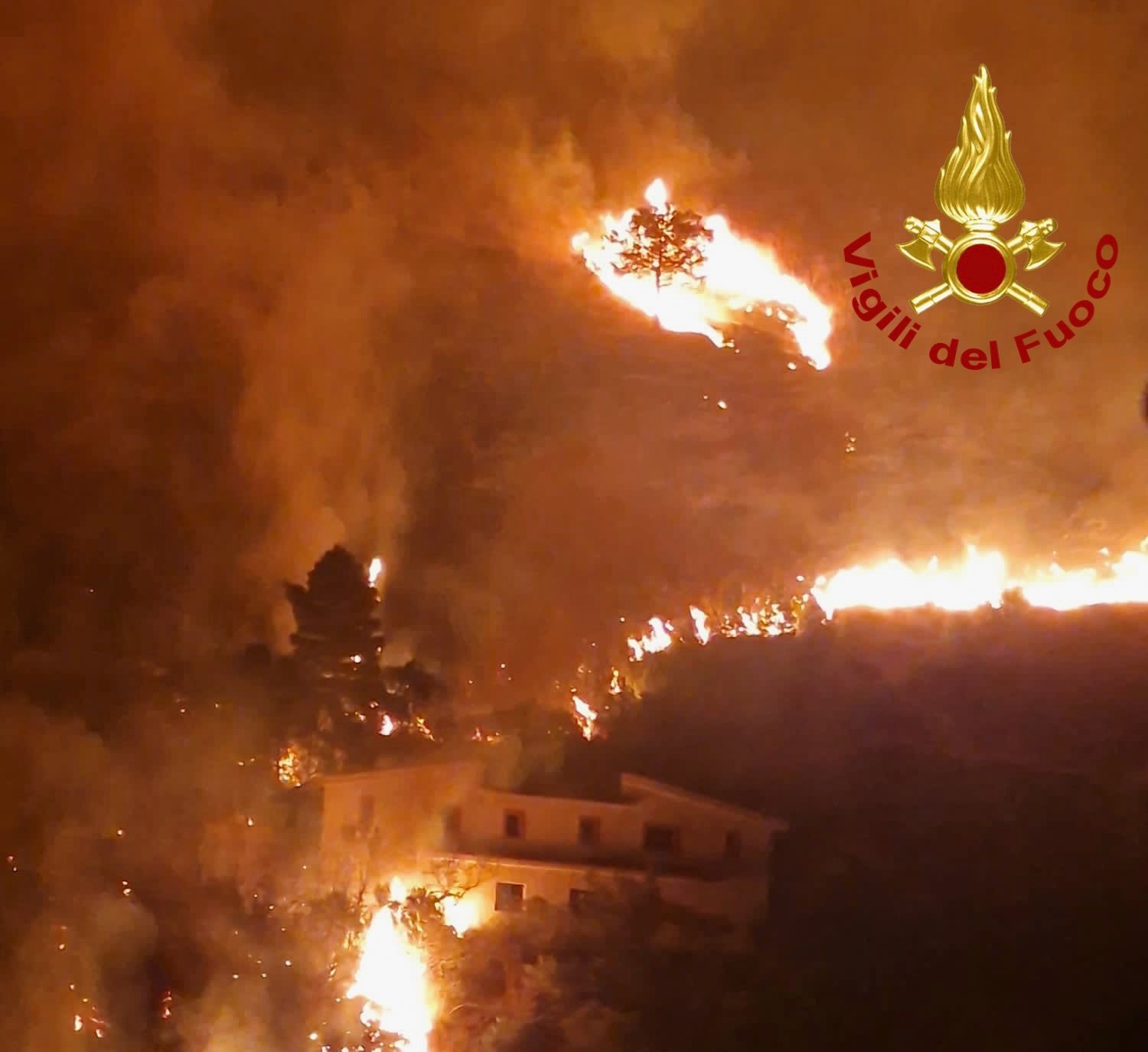 Incendi, l’estate nera della Sicilia e gli appelli inascoltati. Le associazioni: “Vorremmo una mano”