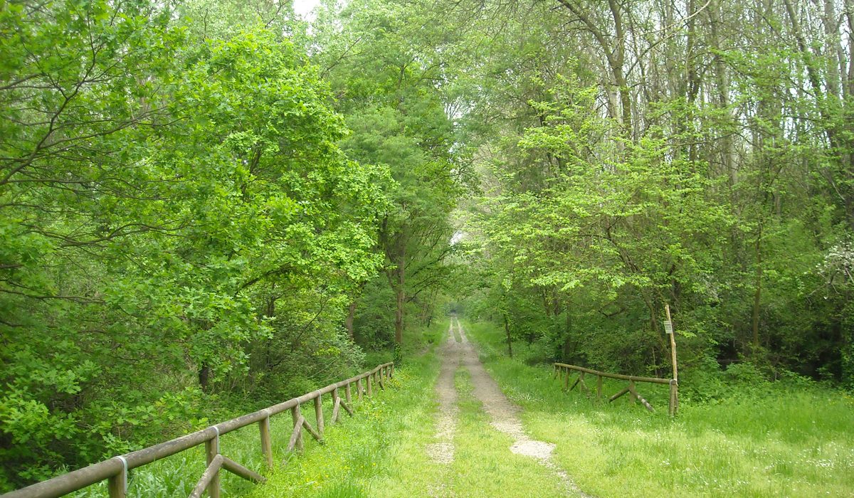 Buccheri traina il turismo naturalistico provinciale