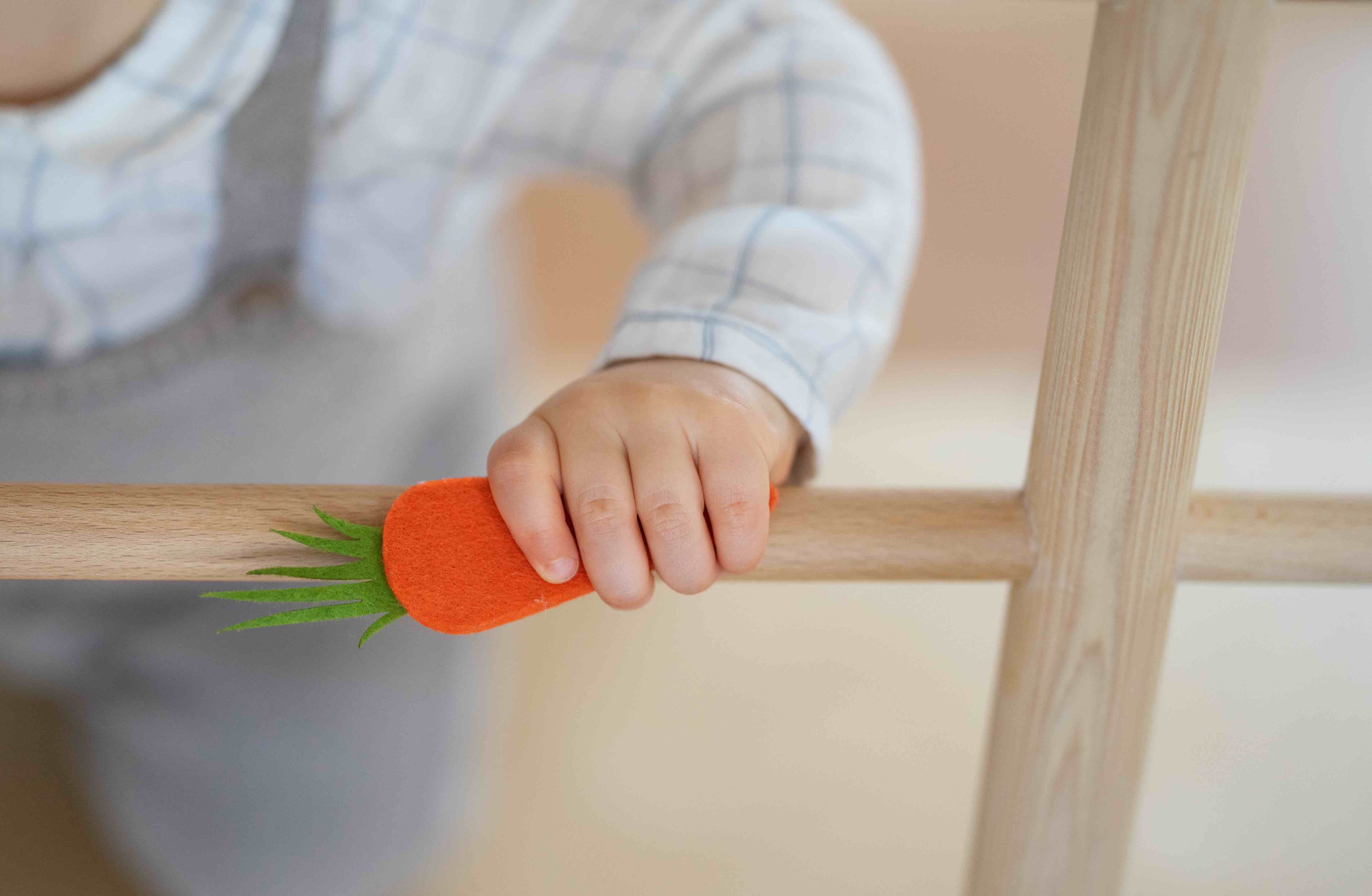 A Scicli sta per arrivare il primo “Agrinido”
