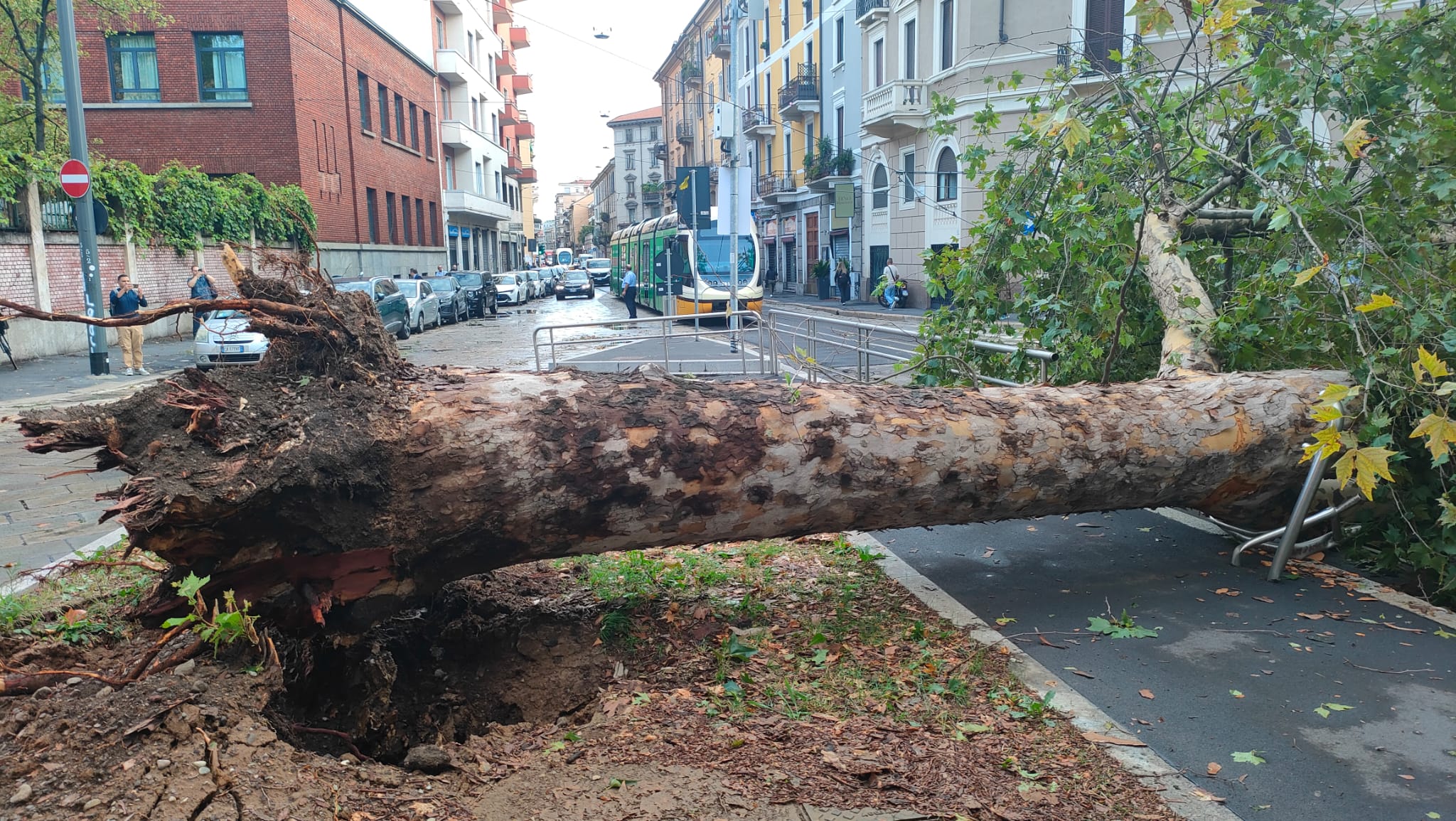Le emergenze nell’ordinario, il caso della potatura alberi a Trapani