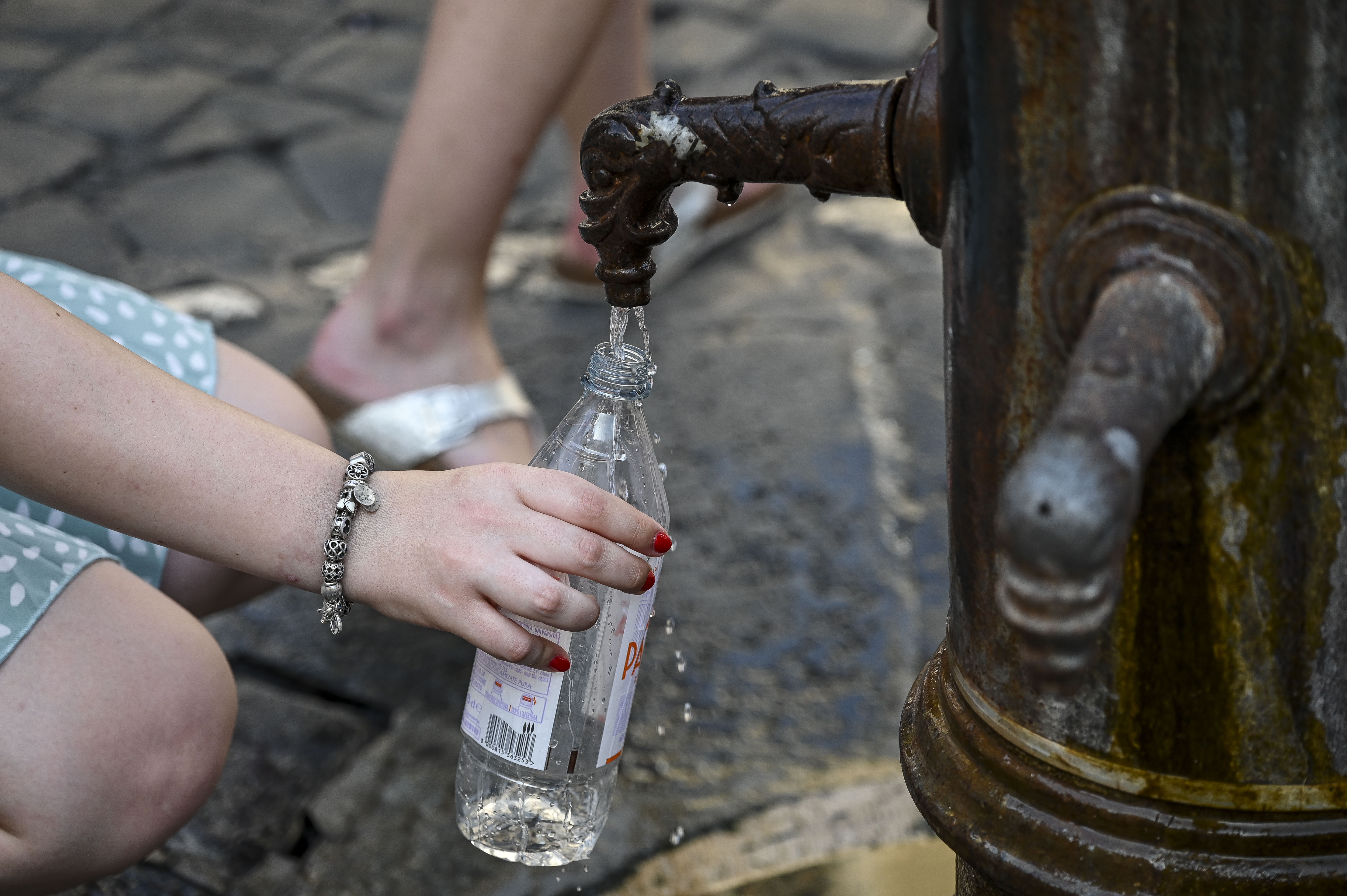 L’allarme della Fao: “Manca l’acqua a 2,4 miliardi di persone”