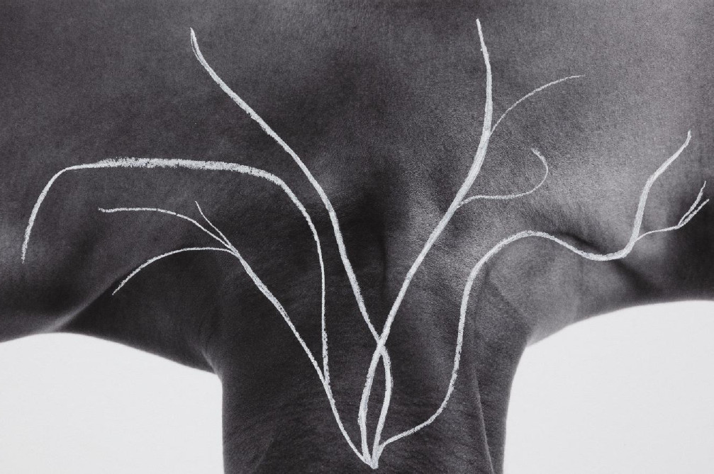 I musei d’arte contemporanea promuovono la sostenibilità