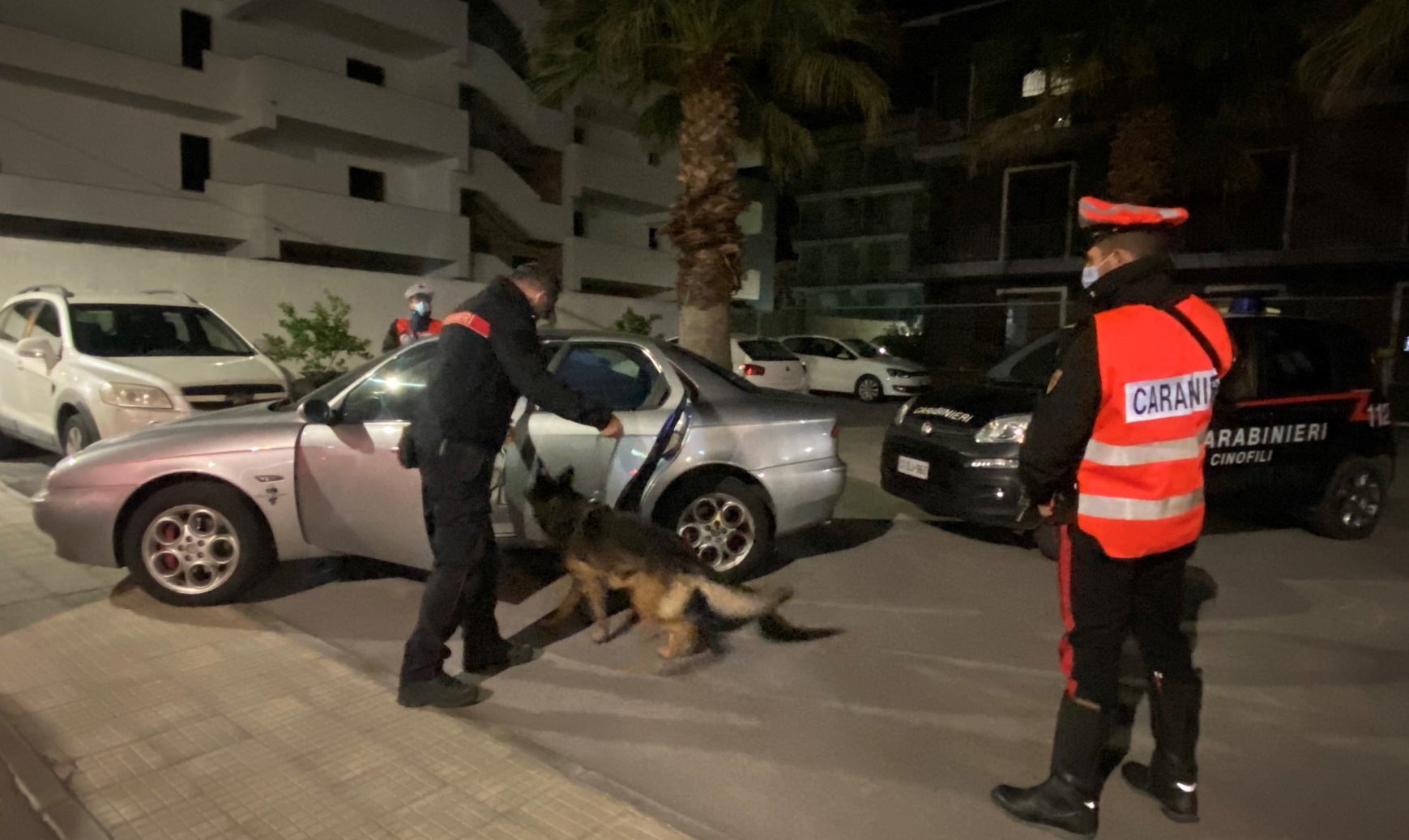 Cane “King” fiuta e scopre droga in casa, arrestato pusher messinese