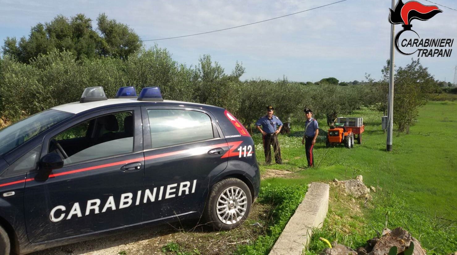 Raccoglie olive in terreno non suo nel Trapanese e con operai in nero: denunciata 71enne