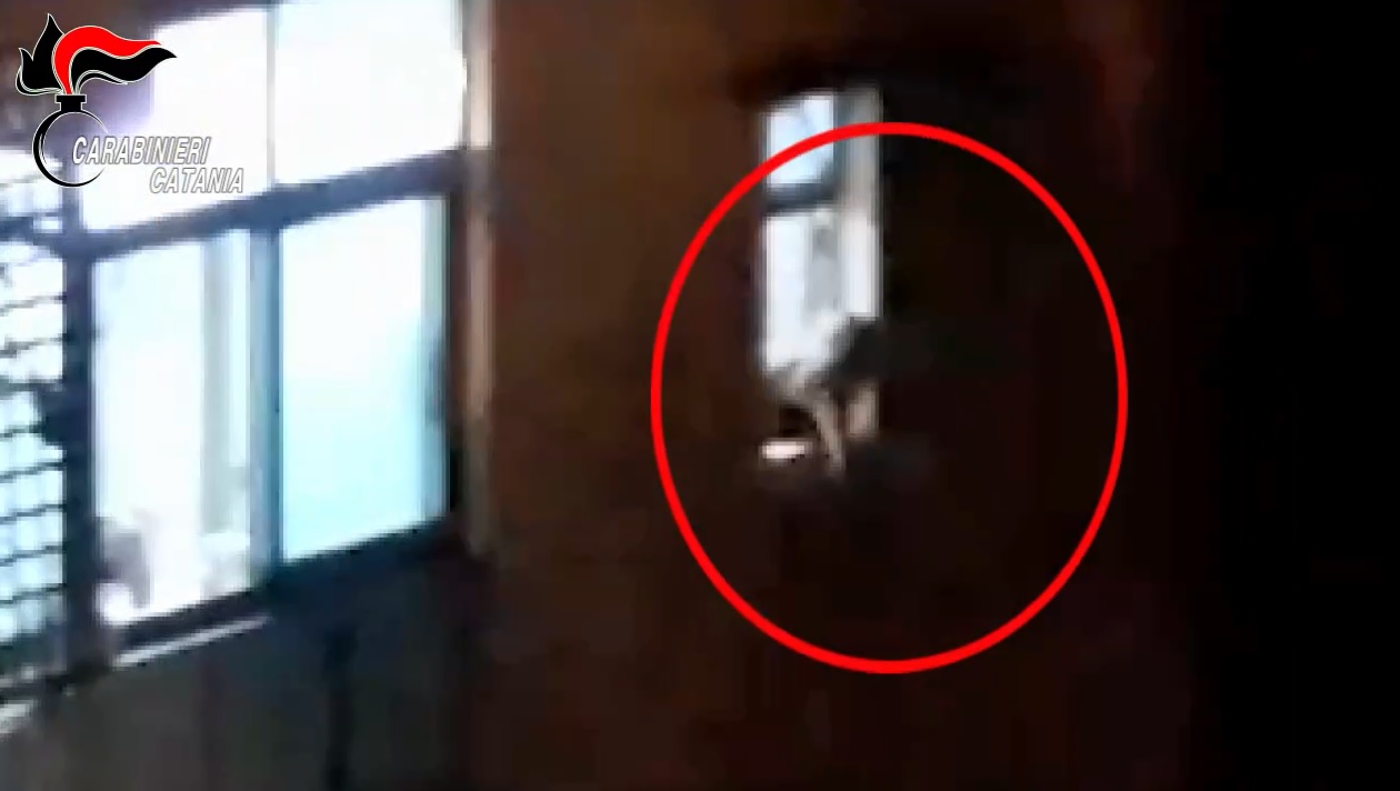 VIDEO | “Mamma, butta la droga!”, ma i carabinieri filmano tutto: 19enne in manette