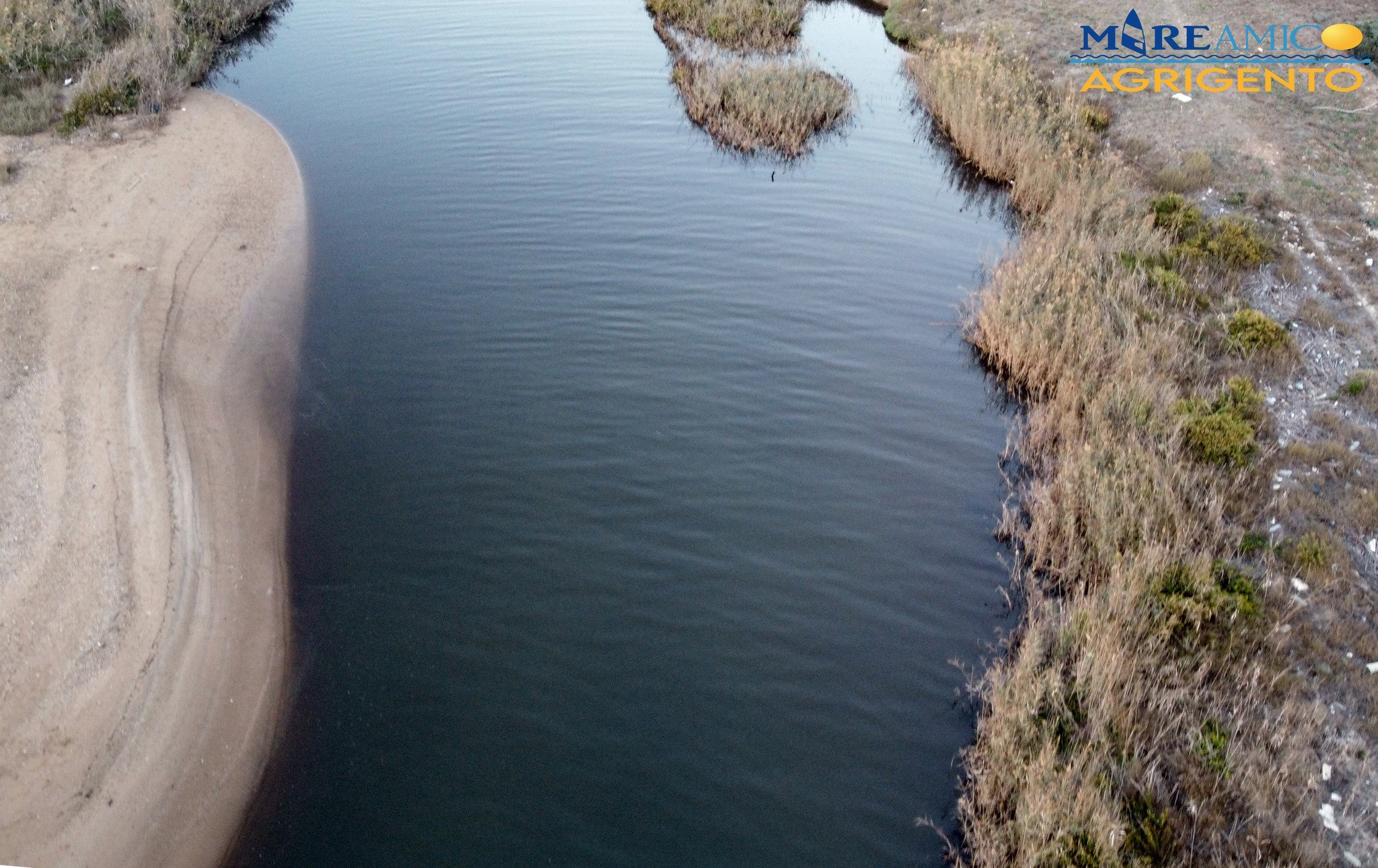L’allarme di Mareamico: “Fiume Naro inquinato dagli scarichi dei frantoi”