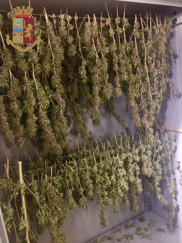 Ordigni esplosivi e droga a Picanello - Catania, arresto - ps