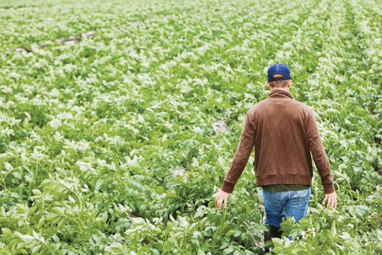 Aree rurali: costruire il futuro con le attività non agricole