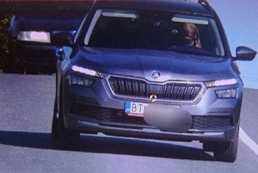 L’autovelox becca un cane al volante, agenti increduli: lo scatto è virale L’autovelox becca un cane al volante, agenti increduli: lo scatto è virale